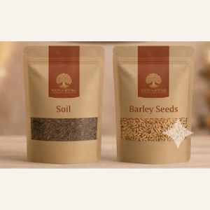 Soil